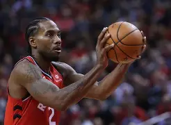 AYX SPORTS-森林狼 kg