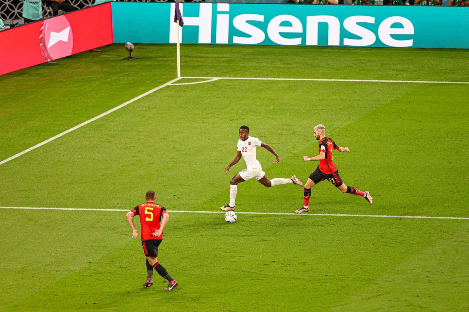 哈维尔米莱简历