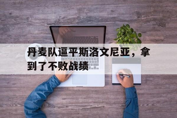 丹麦队球迷